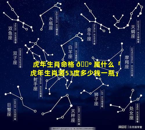 虎年生肖命格 🐺 属什么「虎年生肖酒53度多少钱一瓶」